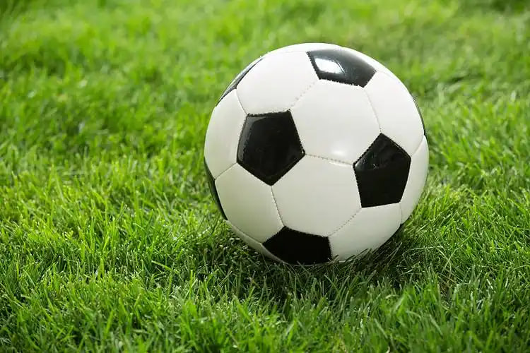 澳客app安卓版立即下载